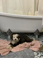 processed/d21ac227-b1aa-44d5-9a16-6ec565855b4d/facility/3b12aaf4-38f2-44b5-80ef-13c7be784f57