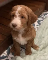 processed/d21ac227-b1aa-44d5-9a16-6ec565855b4d/facility/42097aed-407d-4d50-8d6c-2b642c478028