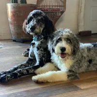 processed/d21ac227-b1aa-44d5-9a16-6ec565855b4d/facility/534768ef-b62f-43a3-aa0e-366292f33abe