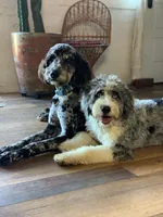 processed/d21ac227-b1aa-44d5-9a16-6ec565855b4d/facility/534768ef-b62f-43a3-aa0e-366292f33abe