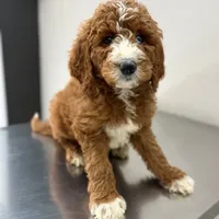 processed/d21ac227-b1aa-44d5-9a16-6ec565855b4d/facility/a1d30945-d843-4420-bf14-ba4b4edc1fff