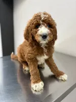 processed/d21ac227-b1aa-44d5-9a16-6ec565855b4d/facility/a1d30945-d843-4420-bf14-ba4b4edc1fff