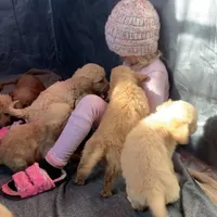 processed/d21ac227-b1aa-44d5-9a16-6ec565855b4d/facility/b9934885-7e75-489d-9a50-efb6f413d7a7