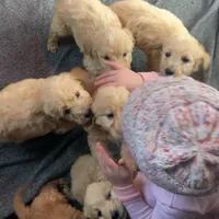 processed/d21ac227-b1aa-44d5-9a16-6ec565855b4d/facility/d8026077-476a-40fa-8fcc-639ae4848fcb