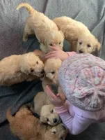 processed/d21ac227-b1aa-44d5-9a16-6ec565855b4d/facility/d8026077-476a-40fa-8fcc-639ae4848fcb