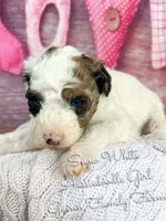 processed/d21ac227-b1aa-44d5-9a16-6ec565855b4d/listing/02c53620-709a-46ed-a738-3a9a6d28088a/3a441628-b6bb-44c0-96ea-67f00ff0aa9a