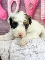 processed/d21ac227-b1aa-44d5-9a16-6ec565855b4d/listing/02c53620-709a-46ed-a738-3a9a6d28088a/7b0e3e97-8629-4d73-80f5-b4a11ee9729a