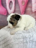 processed/d21ac227-b1aa-44d5-9a16-6ec565855b4d/listing/02c53620-709a-46ed-a738-3a9a6d28088a/92b3017f-6859-4899-a147-0500521938dd