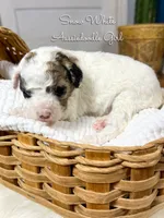 processed/d21ac227-b1aa-44d5-9a16-6ec565855b4d/listing/02c53620-709a-46ed-a738-3a9a6d28088a/a1695c62-a2ef-45e6-aa92-d2bddc5d1b5e