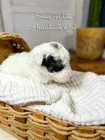 processed/d21ac227-b1aa-44d5-9a16-6ec565855b4d/listing/02c53620-709a-46ed-a738-3a9a6d28088a/b91baa7c-248f-482b-8cc1-7631b49e847e