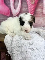 processed/d21ac227-b1aa-44d5-9a16-6ec565855b4d/listing/02c53620-709a-46ed-a738-3a9a6d28088a/b97c555f-9ee2-46d5-afce-3cb3caa3f9ee