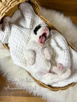 processed/d21ac227-b1aa-44d5-9a16-6ec565855b4d/listing/02c53620-709a-46ed-a738-3a9a6d28088a/e82dc865-914b-4fb6-8814-712144549c95