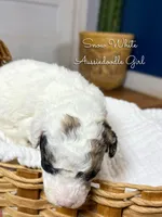 processed/d21ac227-b1aa-44d5-9a16-6ec565855b4d/listing/02c53620-709a-46ed-a738-3a9a6d28088a/fa4fa58a-aeb0-44ba-ac32-58a98dd24f16