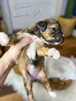 processed/d21ac227-b1aa-44d5-9a16-6ec565855b4d/listing/2116f094-afff-4256-b932-bace02e5ff03/1b0b73dc-6b66-477f-9988-c794bedbcf80