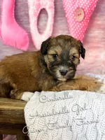 processed/d21ac227-b1aa-44d5-9a16-6ec565855b4d/listing/2116f094-afff-4256-b932-bace02e5ff03/822b8334-39f0-48a3-97fd-f5804d0db8e7