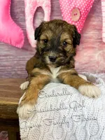 processed/d21ac227-b1aa-44d5-9a16-6ec565855b4d/listing/2116f094-afff-4256-b932-bace02e5ff03/925d2916-ec75-468b-a1a0-6e27bdcfc584