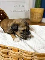 processed/d21ac227-b1aa-44d5-9a16-6ec565855b4d/listing/2116f094-afff-4256-b932-bace02e5ff03/c93e36c0-3190-4731-beb9-ec5a7d4d8473