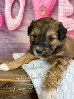 processed/d21ac227-b1aa-44d5-9a16-6ec565855b4d/listing/2116f094-afff-4256-b932-bace02e5ff03/ccb78a2e-4b20-4915-aa29-e8835be21de7