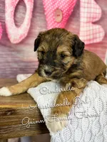 processed/d21ac227-b1aa-44d5-9a16-6ec565855b4d/listing/2116f094-afff-4256-b932-bace02e5ff03/fa2182ce-226a-466c-9010-bfd936aadb26