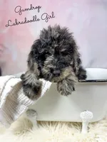 processed/d21ac227-b1aa-44d5-9a16-6ec565855b4d/listing/2218b41b-0e74-45cf-beb9-40b8d504b72c/057b5c51-d6c1-45cf-b761-d1283efaabe9