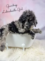 processed/d21ac227-b1aa-44d5-9a16-6ec565855b4d/listing/2218b41b-0e74-45cf-beb9-40b8d504b72c/761577d7-5618-40ff-a3ef-b6f227189216