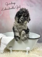 processed/d21ac227-b1aa-44d5-9a16-6ec565855b4d/listing/2218b41b-0e74-45cf-beb9-40b8d504b72c/951c52eb-65df-40c1-97fa-9316088750c3