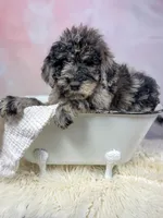 processed/d21ac227-b1aa-44d5-9a16-6ec565855b4d/listing/2218b41b-0e74-45cf-beb9-40b8d504b72c/dd249956-7a76-43a5-adc4-8784580d3738