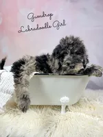 processed/d21ac227-b1aa-44d5-9a16-6ec565855b4d/listing/2218b41b-0e74-45cf-beb9-40b8d504b72c/ec6ee35d-2691-4422-b674-a8b3cb73858e