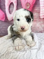 processed/d21ac227-b1aa-44d5-9a16-6ec565855b4d/listing/2b4dd6af-69fd-494e-9c24-0daa84303d4d/20b7056a-3af5-4608-a15a-682155d4f51f