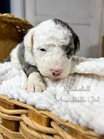 processed/d21ac227-b1aa-44d5-9a16-6ec565855b4d/listing/2b4dd6af-69fd-494e-9c24-0daa84303d4d/44bbce2f-8e51-4087-998f-e7b418c575b9