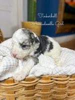 processed/d21ac227-b1aa-44d5-9a16-6ec565855b4d/listing/2b4dd6af-69fd-494e-9c24-0daa84303d4d/5a0ceb39-fa09-4a60-9d13-817424cd50e0