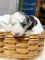 processed/d21ac227-b1aa-44d5-9a16-6ec565855b4d/listing/2b4dd6af-69fd-494e-9c24-0daa84303d4d/870ec252-0f63-40fb-9a13-bf95c2c73a3e