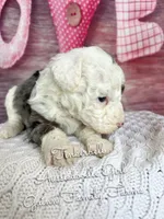 processed/d21ac227-b1aa-44d5-9a16-6ec565855b4d/listing/2b4dd6af-69fd-494e-9c24-0daa84303d4d/b60c74d6-2377-4e59-bc8d-26817e92632b