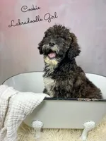 processed/d21ac227-b1aa-44d5-9a16-6ec565855b4d/listing/6a315cb8-75f1-4f07-be4b-831f074aac53/0d01c320-9c6d-4c87-91e3-220dc4b6e4ee