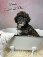 processed/d21ac227-b1aa-44d5-9a16-6ec565855b4d/listing/6a315cb8-75f1-4f07-be4b-831f074aac53/115e023f-8f3a-4948-9181-cd29aa413044