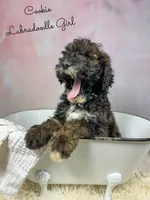 processed/d21ac227-b1aa-44d5-9a16-6ec565855b4d/listing/6a315cb8-75f1-4f07-be4b-831f074aac53/97bebd80-7daf-4cbd-8900-8804670c8149