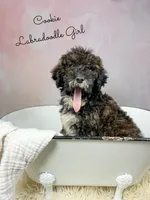 processed/d21ac227-b1aa-44d5-9a16-6ec565855b4d/listing/6a315cb8-75f1-4f07-be4b-831f074aac53/a5eaf487-6410-4973-b45d-14514d956c22