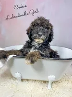 processed/d21ac227-b1aa-44d5-9a16-6ec565855b4d/listing/6a315cb8-75f1-4f07-be4b-831f074aac53/f83e30bc-3e07-4155-9d60-41677f74bee2