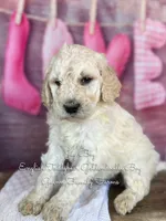 processed/d21ac227-b1aa-44d5-9a16-6ec565855b4d/listing/8559759f-b2da-4f48-b53a-52e56244e712/444d22d0-84ed-466a-a393-4882eed755d2