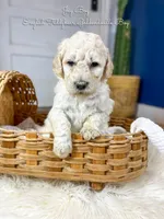 processed/d21ac227-b1aa-44d5-9a16-6ec565855b4d/listing/8559759f-b2da-4f48-b53a-52e56244e712/88d04fea-1c87-4cfb-a5f1-cdfe584c10cb