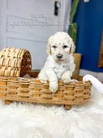 processed/d21ac227-b1aa-44d5-9a16-6ec565855b4d/listing/8559759f-b2da-4f48-b53a-52e56244e712/b1e4112b-da80-42fb-bd2b-01d70f2b34a8