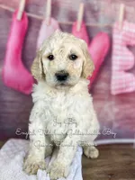 processed/d21ac227-b1aa-44d5-9a16-6ec565855b4d/listing/8559759f-b2da-4f48-b53a-52e56244e712/c80767d5-f061-4f81-ab1e-c2464c8c370f