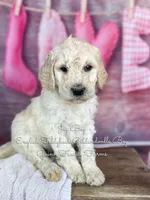 processed/d21ac227-b1aa-44d5-9a16-6ec565855b4d/listing/8559759f-b2da-4f48-b53a-52e56244e712/ed0b022d-365f-4ecc-ae7e-a12b2cedbfbf