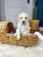 processed/d21ac227-b1aa-44d5-9a16-6ec565855b4d/listing/8559759f-b2da-4f48-b53a-52e56244e712/f9557d1b-7d51-4144-95ef-d8187ade4256