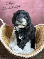 processed/d21ac227-b1aa-44d5-9a16-6ec565855b4d/listing/8cee4ab1-d3ac-4437-9eed-9c070be3168b/0137a820-1bf9-4847-83d2-f03dff4be887