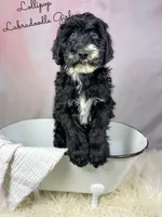 processed/d21ac227-b1aa-44d5-9a16-6ec565855b4d/listing/8cee4ab1-d3ac-4437-9eed-9c070be3168b/0e7b0373-9117-4913-bd92-3ee05e00a566