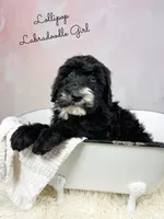 processed/d21ac227-b1aa-44d5-9a16-6ec565855b4d/listing/8cee4ab1-d3ac-4437-9eed-9c070be3168b/14d03da5-fec0-4107-ac79-05366d4904a0