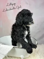 processed/d21ac227-b1aa-44d5-9a16-6ec565855b4d/listing/8cee4ab1-d3ac-4437-9eed-9c070be3168b/21a9f1de-9272-458b-81e7-507d4e30b0e3