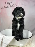 processed/d21ac227-b1aa-44d5-9a16-6ec565855b4d/listing/8cee4ab1-d3ac-4437-9eed-9c070be3168b/6c65d148-467c-4d7a-9a7a-dd1b075185bb