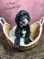 processed/d21ac227-b1aa-44d5-9a16-6ec565855b4d/listing/8cee4ab1-d3ac-4437-9eed-9c070be3168b/6e447214-d6f4-4ed7-8d80-1c8560271509